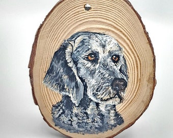 Commission Hand Painted Pet Portrait Ornament or wall haningg.