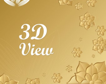 3D view