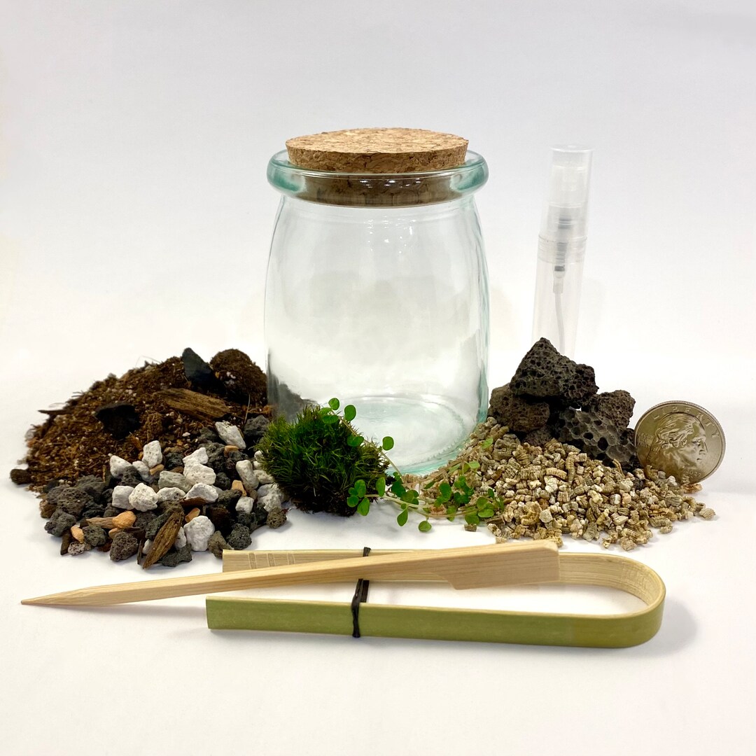 DIY Medium Terrarium Kit W/ Live Moss Customizable Build Etsy