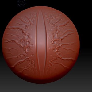 May include: A close-up of a red, textured, spherical object with a vertical slit in the center. The object resembles a large eye with a detailed, veined surface.
