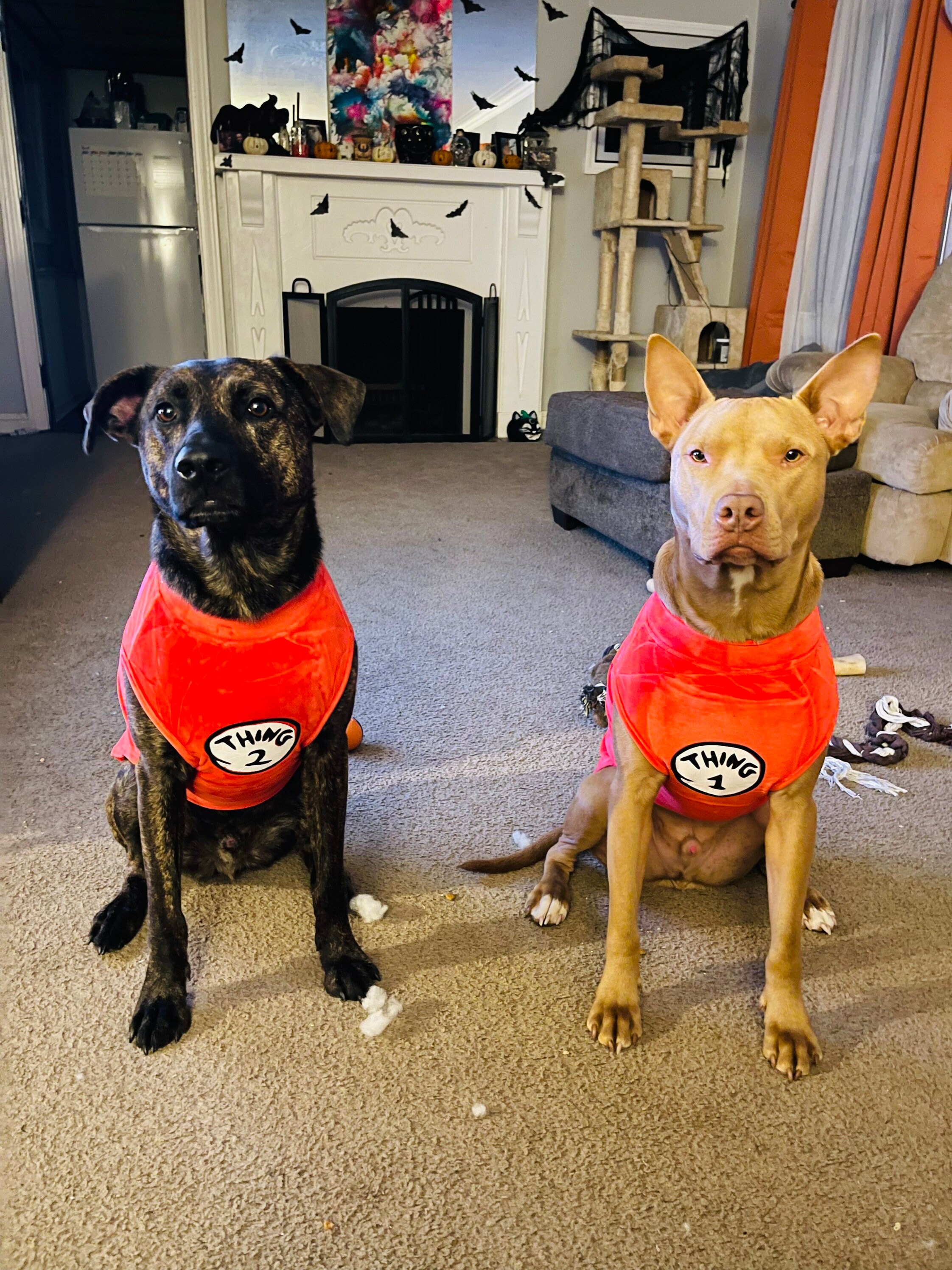 Thing 1 and Thing 2 Dog Halloween Costumes Etsy