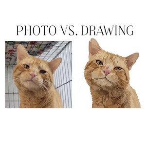 Realistic Digital Pet Portraits (Headshot)- Custom Pet Illustration, Digital Download, Pet Memorial Gift, Dog & Cat Lover Art, From Photo image 3