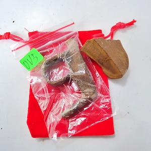 Pode incluir: Uma coleção de artefatos marrons e desgastados, incluindo uma peça curva e um fragmento, apresentados em um saco plástico transparente e uma bolsa de veludo vermelha. Um adesivo verde com o texto "OV3" está preso ao saco. Em fundo branco.