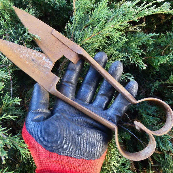 Antique scissors, Primitive sheep shearing shears ,Large shepherd's scissors - Farmhouse decor