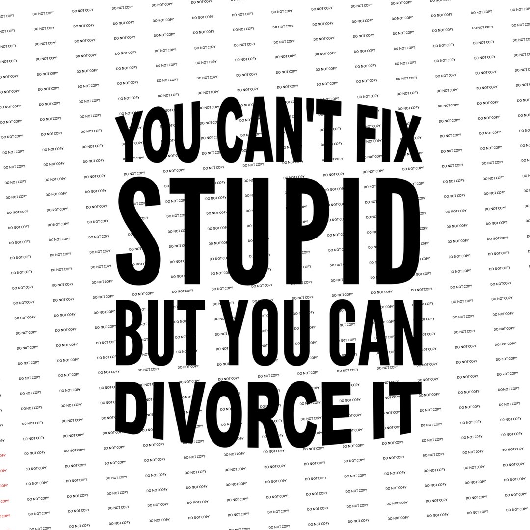 Digital Svg/png-you Can't Fix Stupid but You Can Divorce - Etsy
