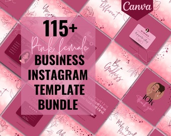 Op de afbeelding: Een verzameling roze en witte Instagram-sjablonen voor bedrijven met bloemmotieven, motiverende citaten en de tekst "115+ Pink Female Business Instagram Template Bundle".
