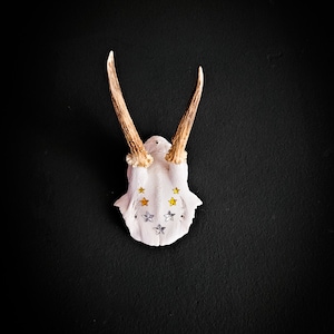 Antlers - deer antlers - wall decoration - white & stars