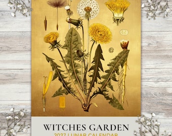 May include: A wall calendar titled Witches Garden 2027 Lunar Calendar Folk Herbs and Flowers of the Turning Year, featuring a gold-toned botanical illustration of dandelion plants with yellow flowers, green leaves, and white seed heads.