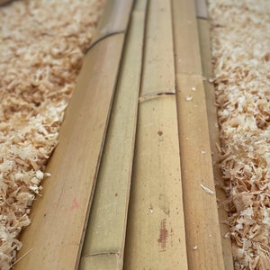 May include: Close-up of a long, narrow strip of natural bamboo, with the edges of the bamboo strips aligned. The bamboo is surrounded by wood shavings.