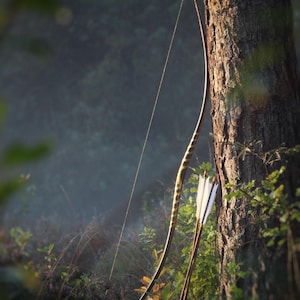 May include: A traditional bow with a curved design, featuring a brown and yellow striped pattern. Two arrows with white fletching rest against a tree trunk in a forest setting. The bowstring is taut, ready for use.