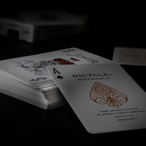 Bicicletta - Carte da gioco Joker / Arte della parete / Download digitale di foto / Sala giochi / Dormitorio / Grotta dell'uomo / Poker