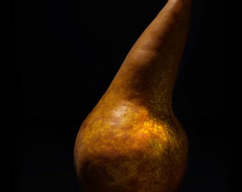 May include: A single pear with a textured, mottled brown and golden-yellow skin against a solid black background. The fruit features a slender, elongated neck and a small, dark brown stem extending from the top, illuminated by light.