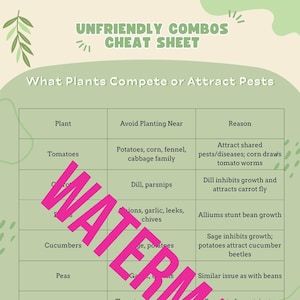Companion Planting Cheat Sheet | Printable Gardening Guide for Vegetable Pairing, Pest Control & Healthy Crop Layouts
