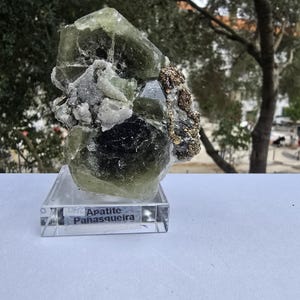 apatite crystals from panasqueira mine,Portugal