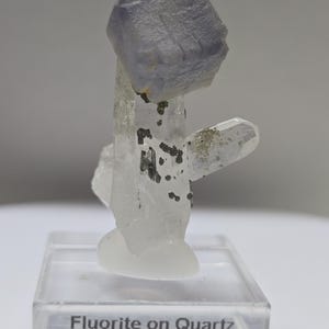 Fluorite on quartz from Panasqueira mine, Portugal.