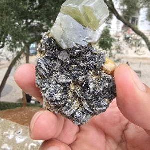 apatite in mica matrix from panasqueira mine,Portugal
