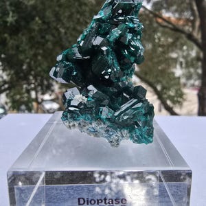 Dioptase from Tantara, D.R.Congo