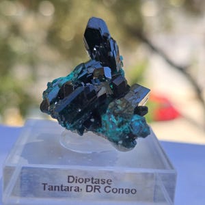 dioptase from Tantara, D.R.Congo