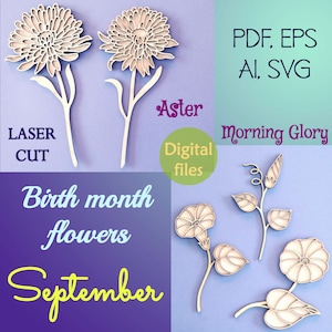 May include: Digital cut files for laser cutting of two aster flowers and three morning glory flowers. The flowers are white and the text says "Birth month flowers September".