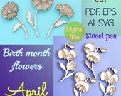 APRIL birth month flowers Sweet pea svg Daisy svg Wildflower svg Laser cut flower Plant stake Laser cut file Floral svg Sweet pea vector R1