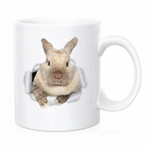 Bunny Rabbit Coffee Mug | Microwave & Dishwasher Safe | Bunny Rabbit