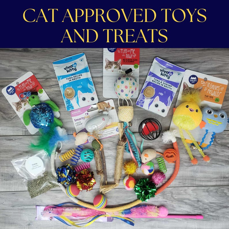 Custom Cat Package, Cat Kitten Toy Treat Mystery Gift Box 20-piece ...