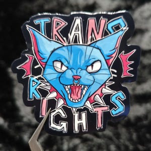 Puede incluir: Pin de esmalte negro y plateado con un diseño de gato azul con una expresión feroz, un piercing en la nariz y un collar de púas. El pin tiene las palabras "TRANS RIGHTS" en una fuente estilizada con acentos rosas y azules.