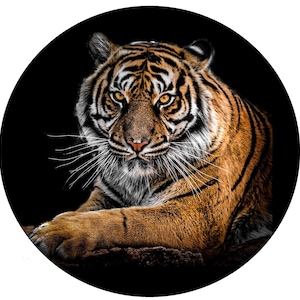 Tiger 15" 16" 17" Made With Your Size Soft Spare Wheel Tire Cover