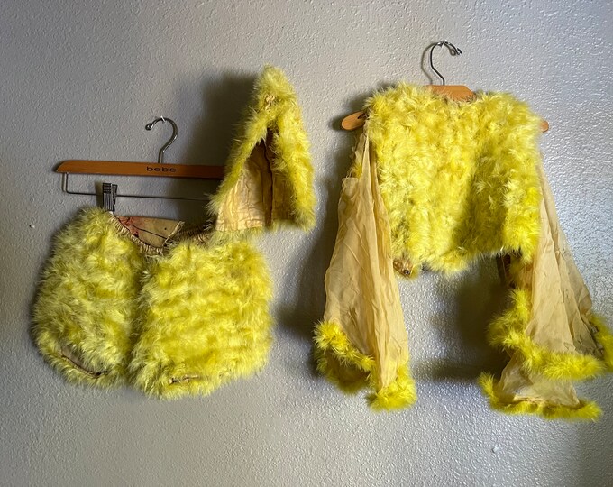 ANTIQUE Halloween Costume, Stage Costume, Feathered Duckling