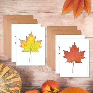 Watercolor Maple Leaf Card Set: Autumn Botanical Notecards