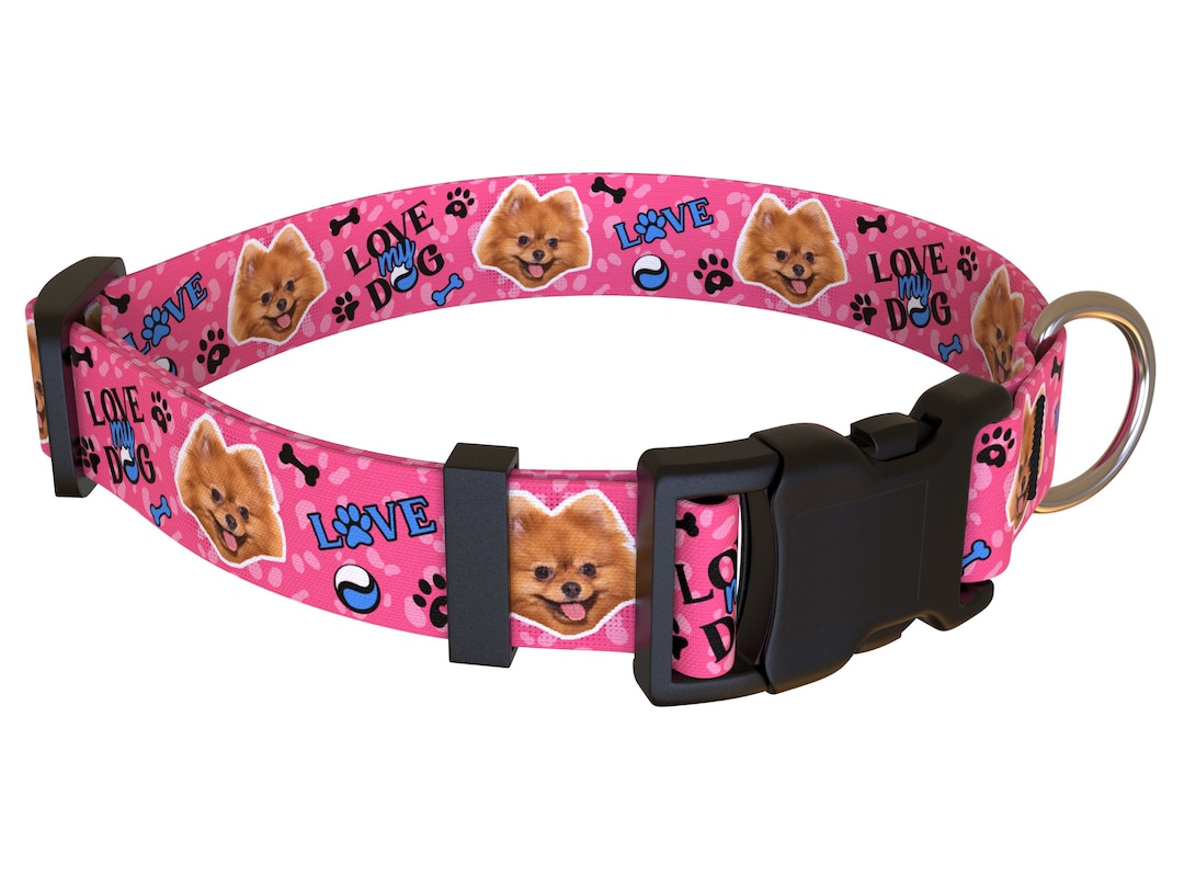 Hot Pink Dog Collar PHOTO PERSONALIZED COLLAR Dog Print Custom Collar