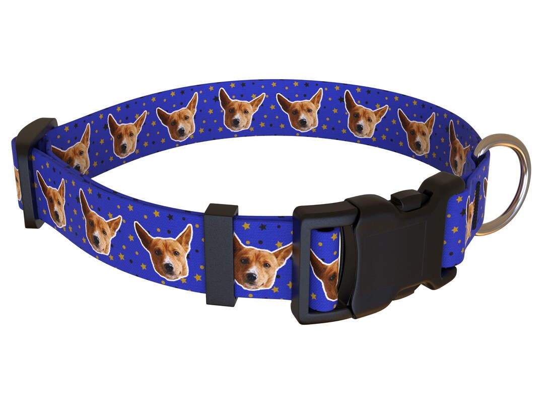 Royal Blue Dog Collar PERSONAL DOG COLLAR Photo Custom Collar
