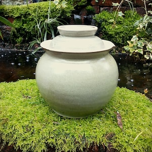 Tarro de fermentación artesanal de cinco tazas o Onggi, tarro de fermentación silvestre con tapa hermética.