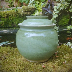 Peut inclure: Un pot en céramique vert clair de forme arrondie avec un couvercle assorti. Le pot présente une glaçure lisse et brillante avec de subtiles variations de couleur, un corps large et un bord légèrement évasé. Le couvercle a une prise circulaire.