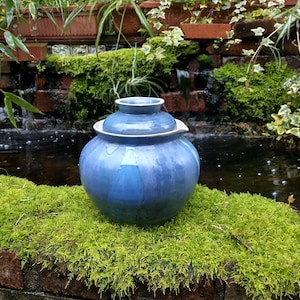 May include: A blue ceramic jar with a lid, resting on green moss. The jar is rounded and has a shiny surface. The background shows a small waterfall and abundant greenery.