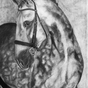 Custom | Commissioned | Horse Portraits | Charcoal Equine Portraits | Horse Illustrations | Equine Artwork | Drawing | Horse Drawings