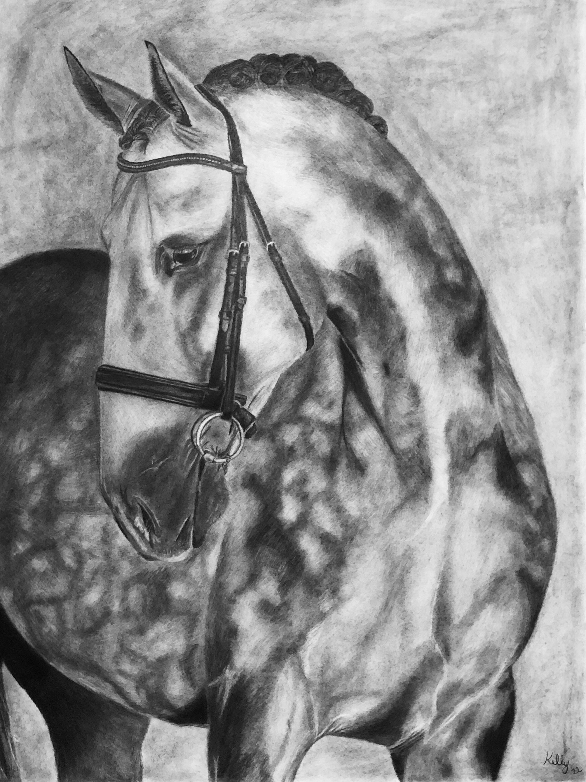 Custom Charcoal Horse Portrait: Commissioned Equine Art