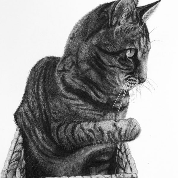 Personalized Pet Charcoal Drawings - Custom Artwork for Pet Lovers