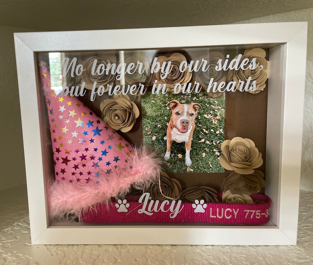 Pet Shadow Box Dog Memorial Framed Box Personalized Memory Etsy