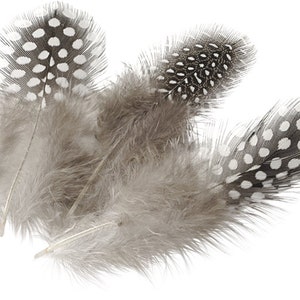 Feathers natural 4-8 cm cm - 3 grams per pack