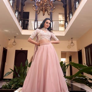 Indian Pistal Pink Lehenga Choli, Embroidery Work Lehenga, Party Wear Lehenga Choli, Traditonal Lehenga Choli, Bridesmaid Lehenga Choli