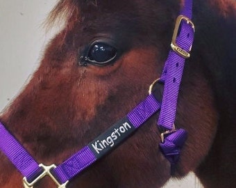 SMALL Embroidered Halter Sleeves, Custom Horse Halter Name Tag - Halter NOT Included