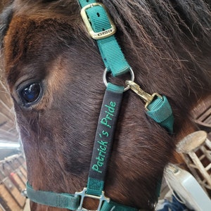 LARGE Halter Sleeve  3"x6", Custom Horse Halter Name Tag - Halter NOT Included - Dog Collar Sleeve