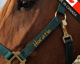 Mangas de cabestro bordadas, talla pequeña/mediana, etiqueta personalizada para el nombre del cabestro. Forro simple o doble. Cabestro no incluido.