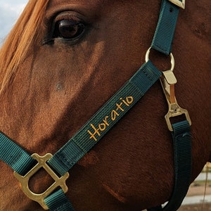 SMALL/MEDIUM Embroidered Halter Sleeves, Custom Horse Halter Name Tag. Single or Double Lined - Halter NOT Included