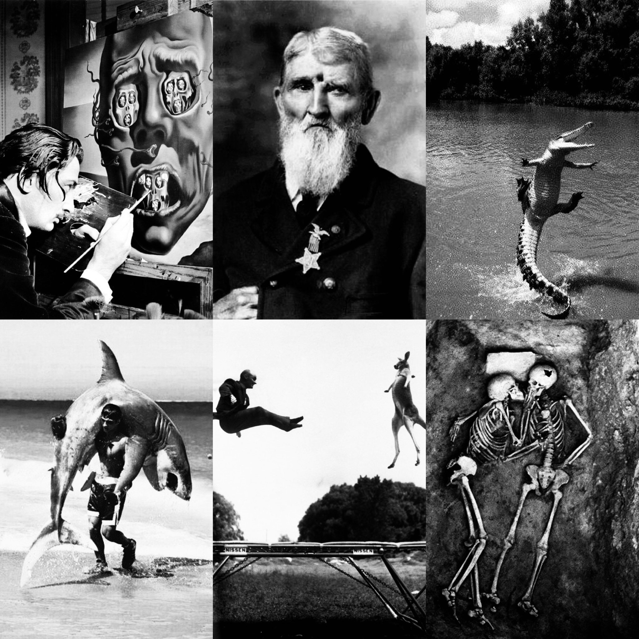 Taxidermy & Curiosities Home Décor Weird medical Scary Strange Photo Vintage odd Picture Funny