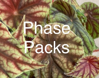 Phase Pack needed for all destinations above 85F.