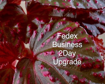 FedEx 2 day business upgrade