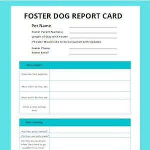 Pflegehund Rapport Karte - Teal