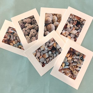 Shell photo cards by Alison